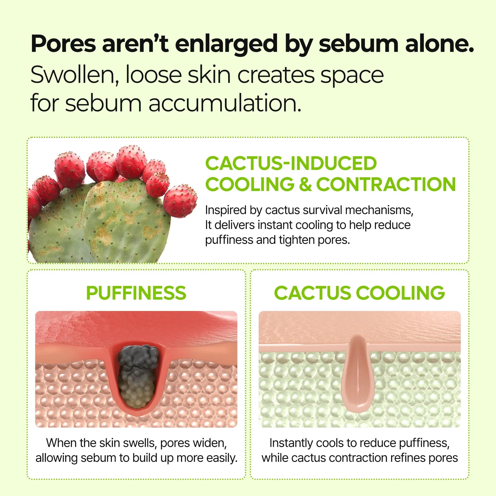 CACTOX Pore Relief Jelly Serum Mist