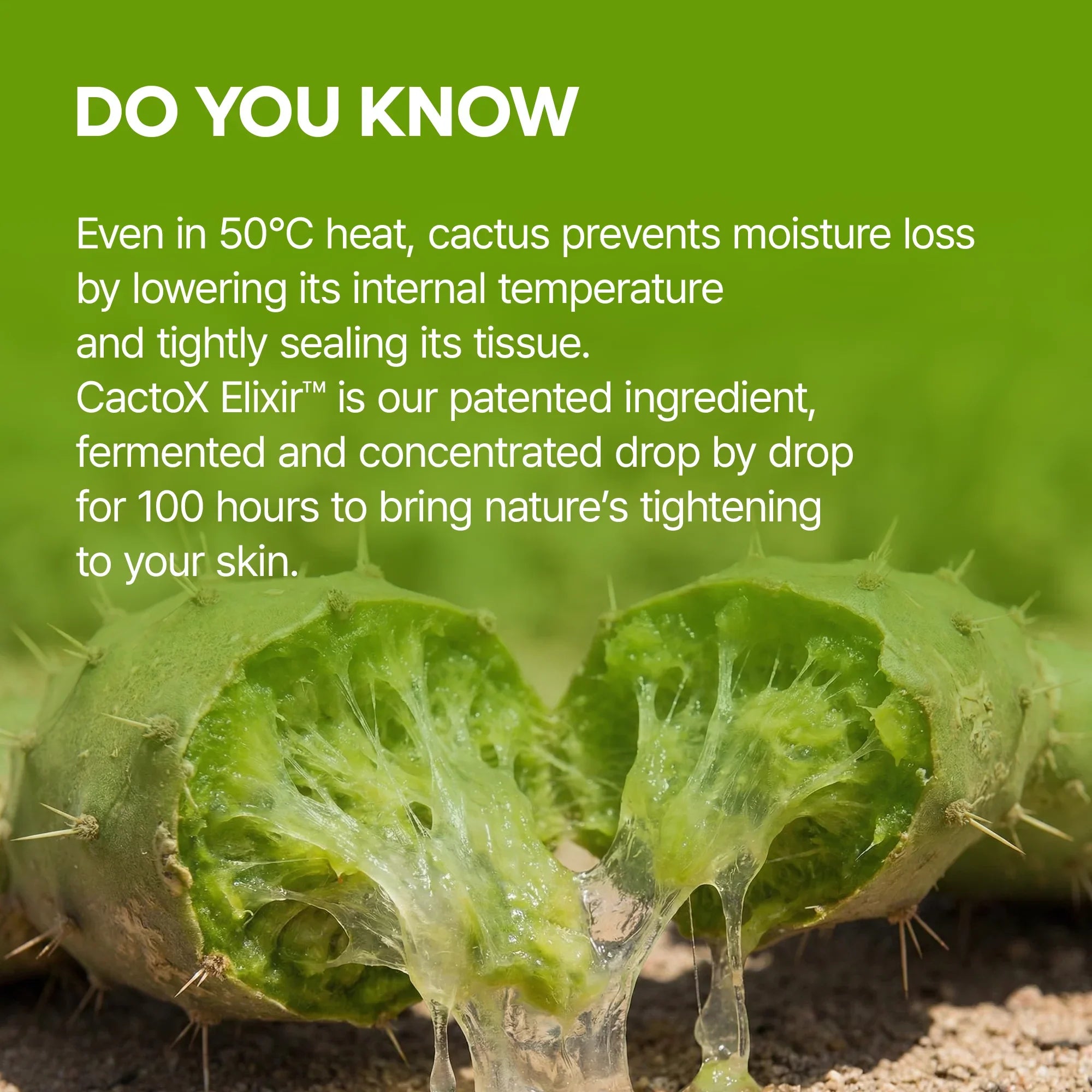 CACTOX DE-PUFFING PORE TOX MASK SET